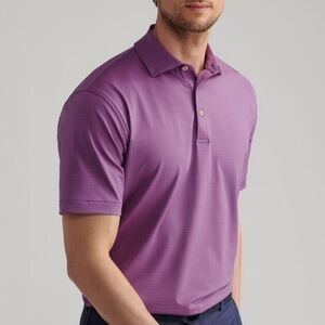 Peter Millar Pink and Blue Striped Polo Shirt